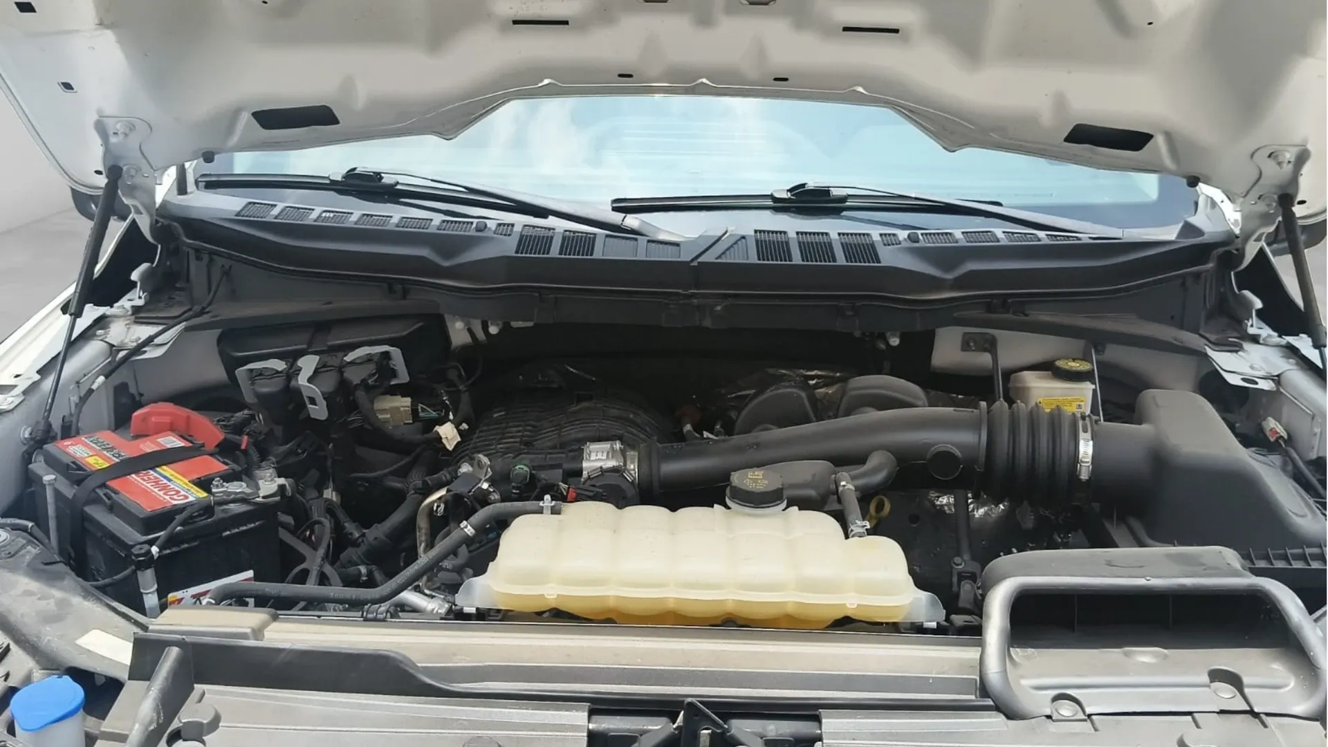 FORD F150 CREW CAB 4X2 PMV image 20