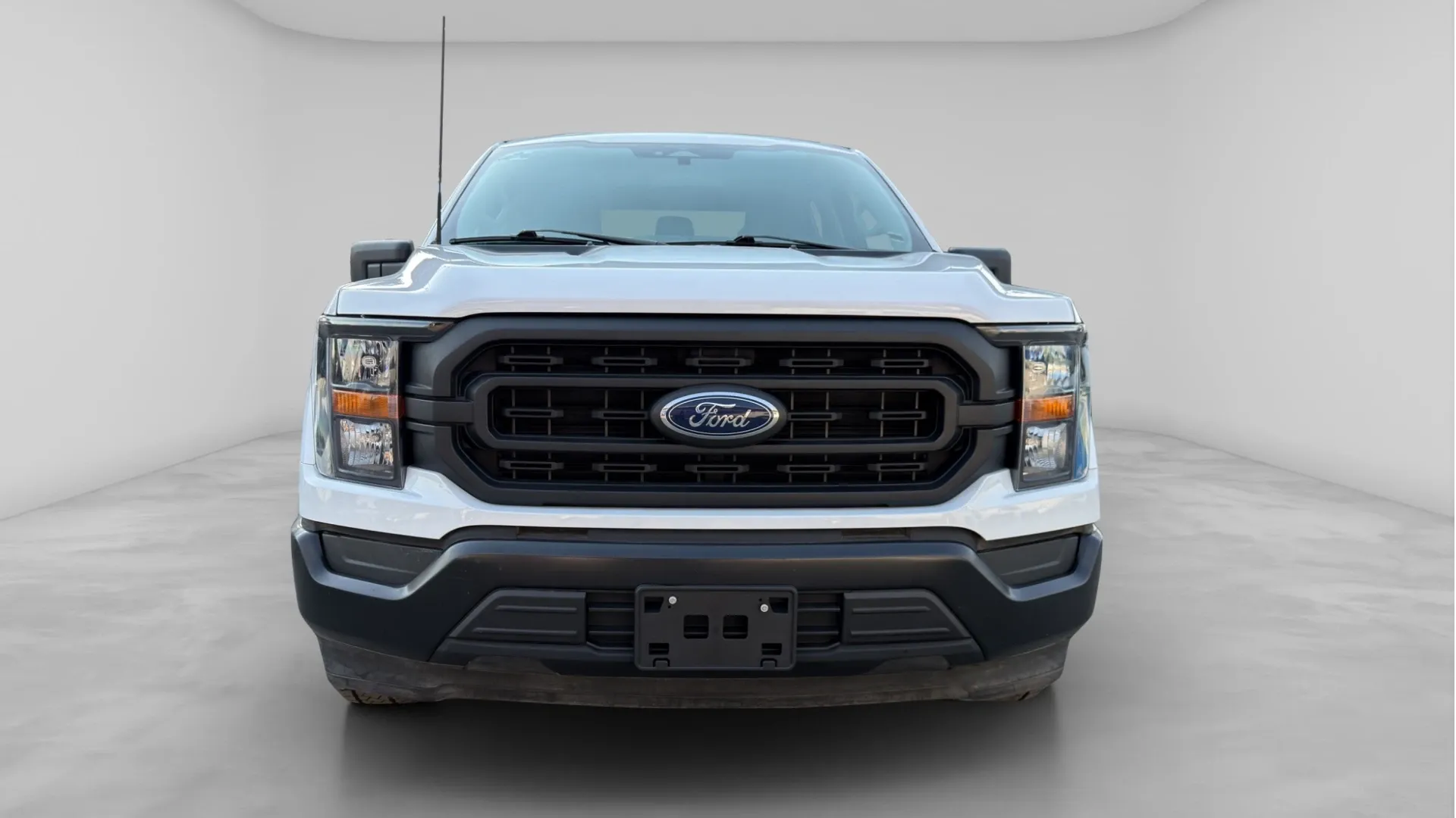 FORD F-150 image 2